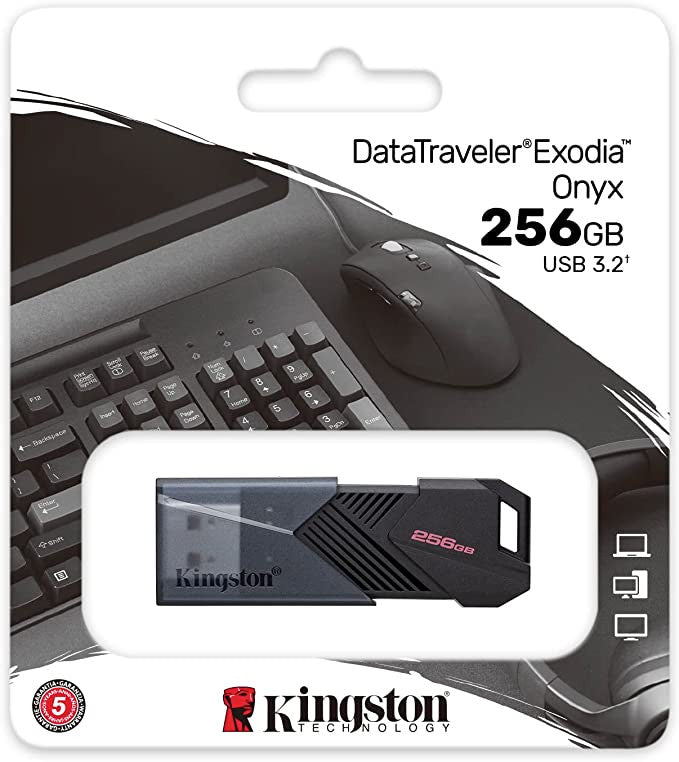 Kingston USB 3.2 - DataTraveler 256GB