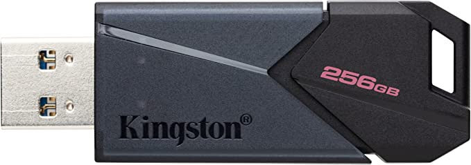 Kingston USB 3.2 - DataTraveler 256GB