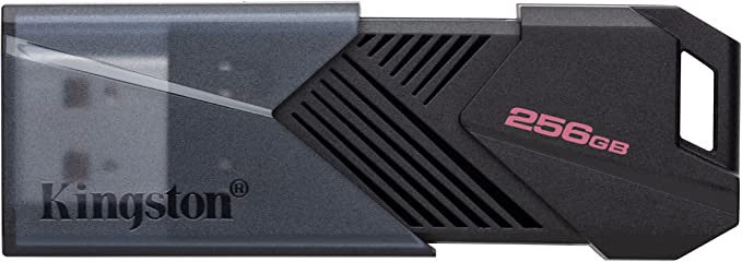 Kingston USB 3.2 - DataTraveler 256GB