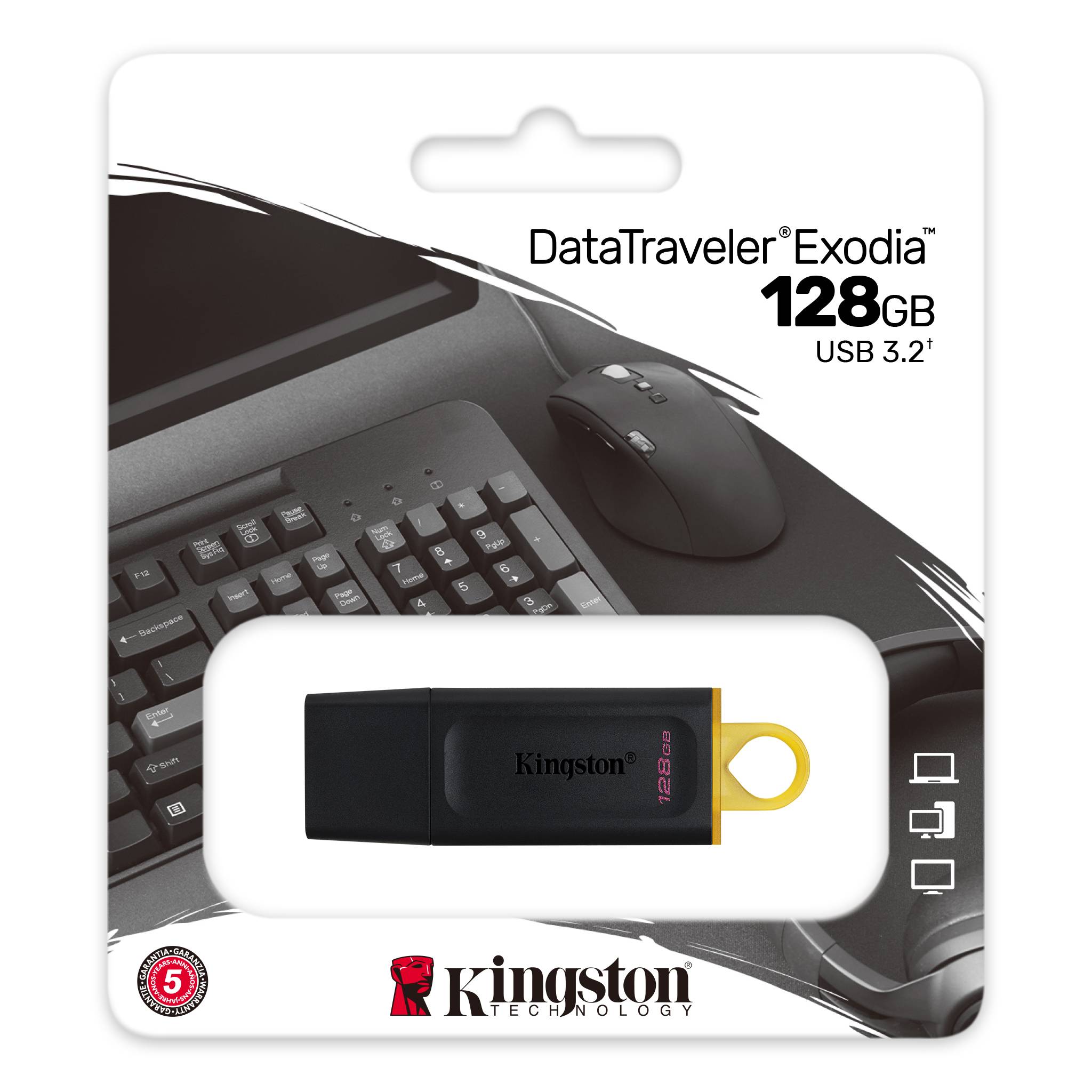 Kingston USB 3.2 - DataTraveler 128GB